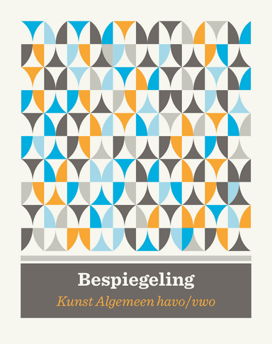 Bespiegeling- Kunst Algemeen tekstboek havo/vwo bovenbouw